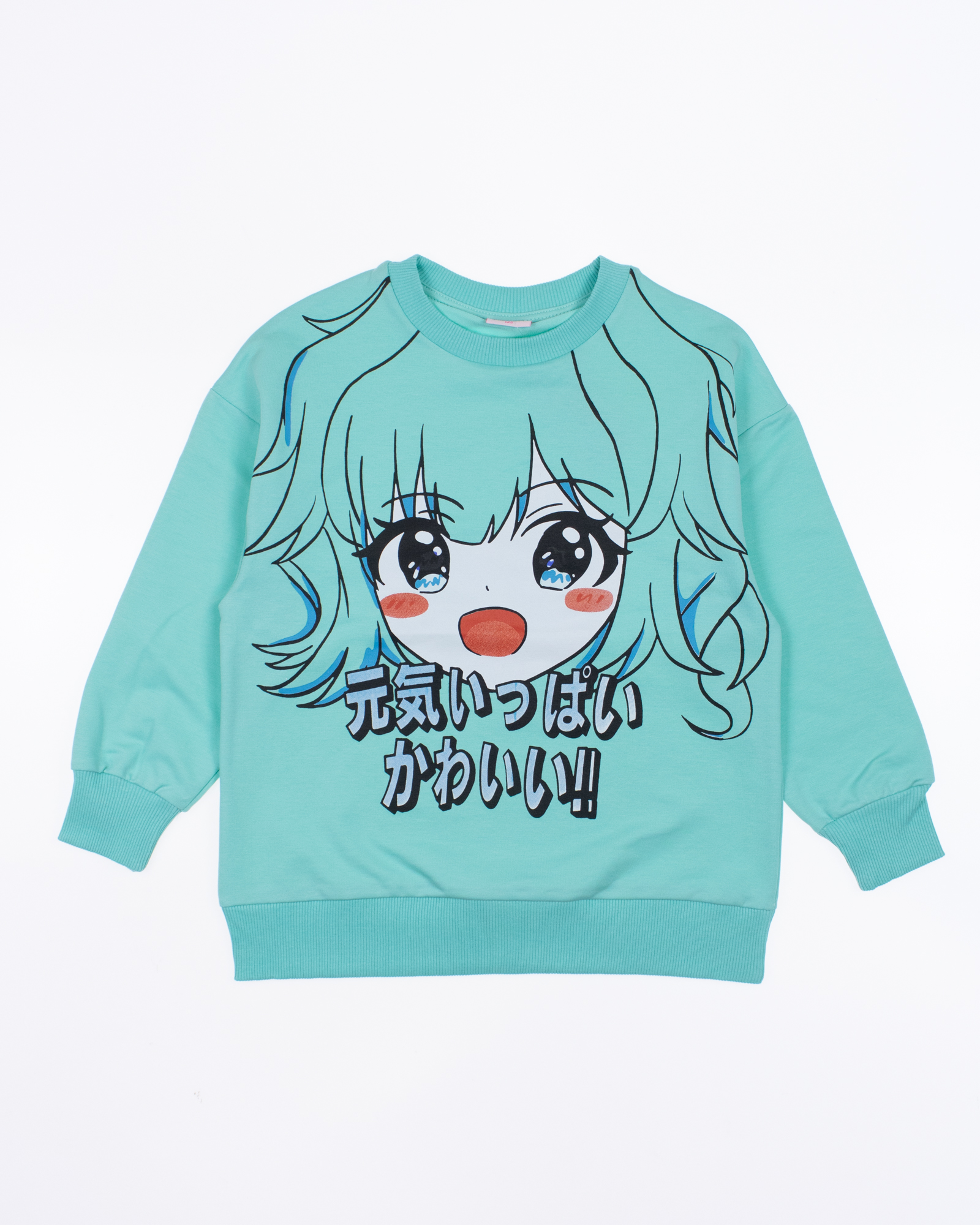 BY-GRI 42825/1 Свитшот BY-GRI 42825/1 Свитшот фото