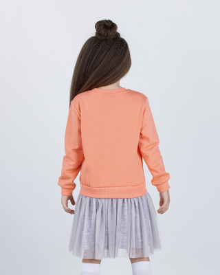 20221025-152.9526_6_2