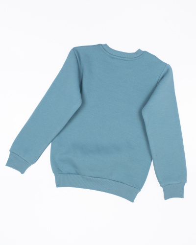 FIRST KIDS 3160 Свитшот утепленный фото