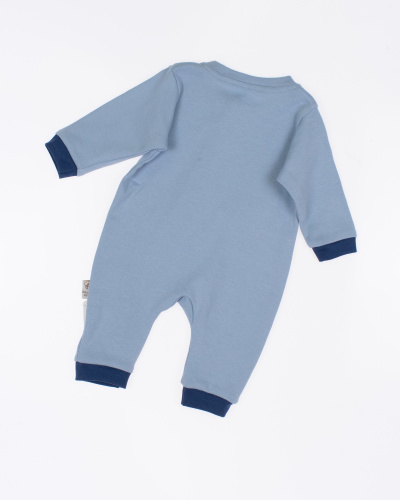 FLEXI 252178 Комплект фото